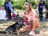 Adoptuj Warszawiaka  Wydarzenie promujące adopcję zwierząt. Organizator: Schronisko dla Bezdomnych Zwierząt "Na Paluchu". 18 sierpnia 2019, Park Raszyński w Raszynie. : park raszyński, adoptuj warszawiaka, na paluchu, schronisko dla zwierząt, centrum warszawy, raszyn